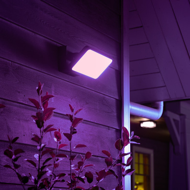 Philips Hue