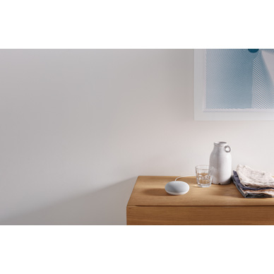Google Nest
