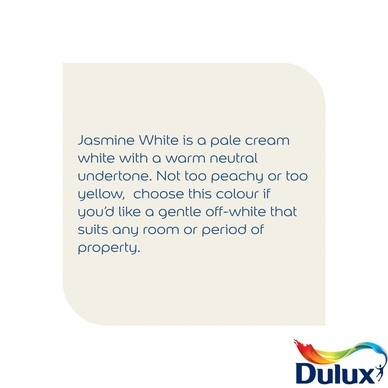 Dulux Trade