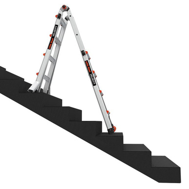 Little Giant