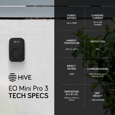 Hive