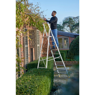 Werner