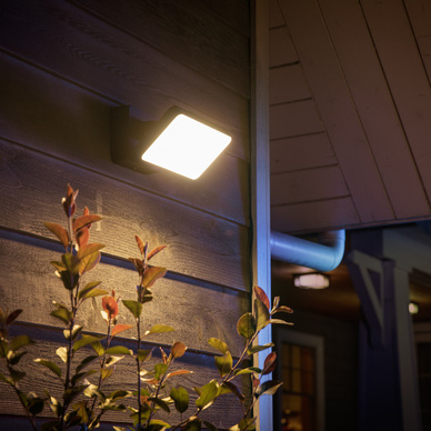Philips Hue
