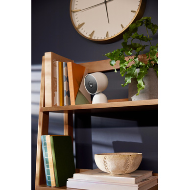 Google Nest