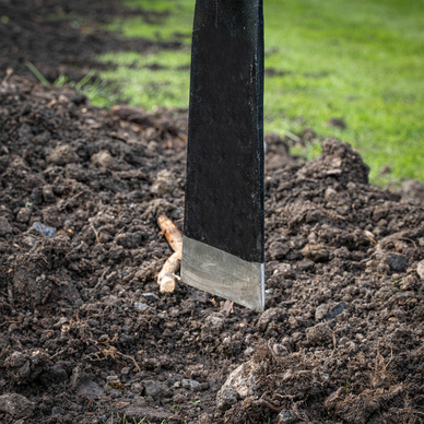 Roughneck