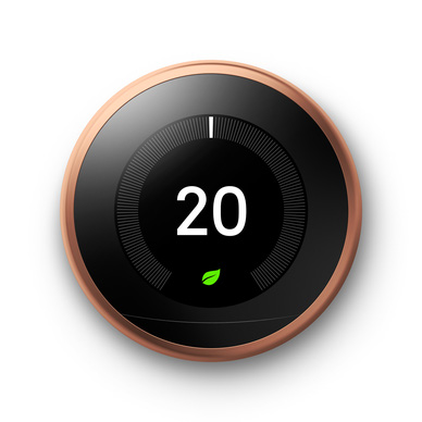Google Nest