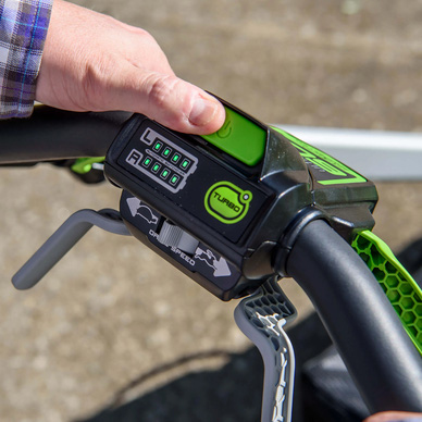 Greenworks