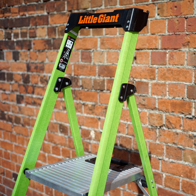 Little Giant
