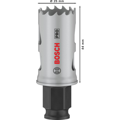 Bosch