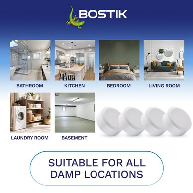 Bostik