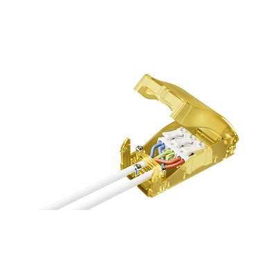 Wessex Electrical