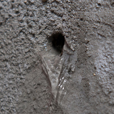 Drybase