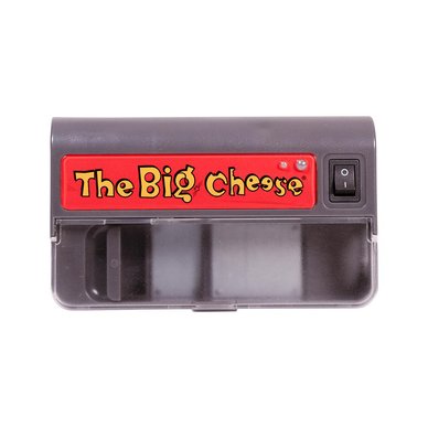 Big Cheese