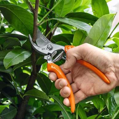 Stihl