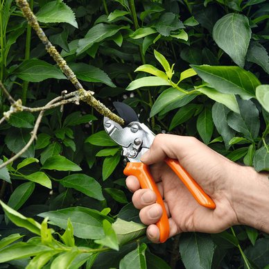 Stihl
