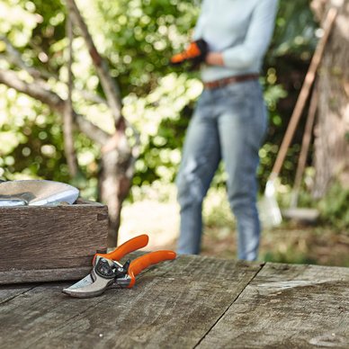 Stihl