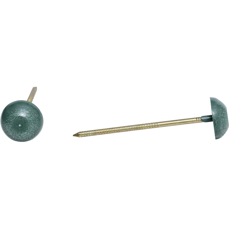 Unbranded RoofTrade Corrugated Bitumen Sheet Nails Pk 100 70mm in Green Plastic