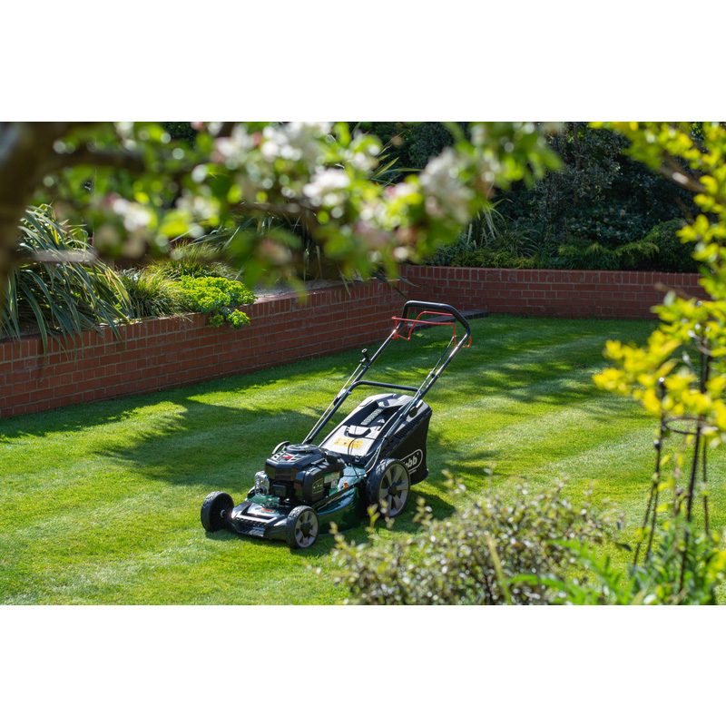 Webb supreme 53cm 2025 petrol lawn mower