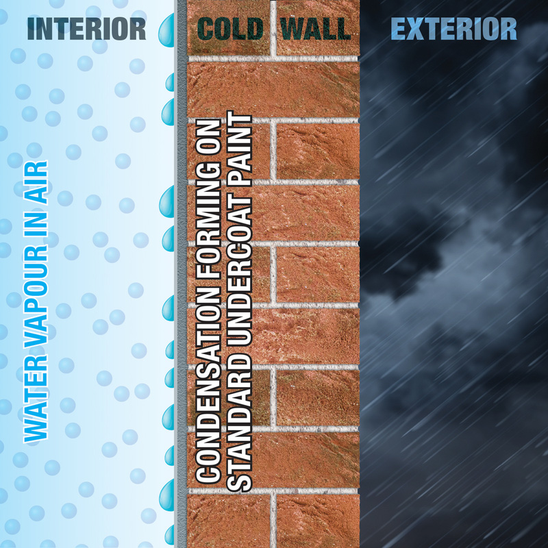 Dryzone Anti Condensation Paint