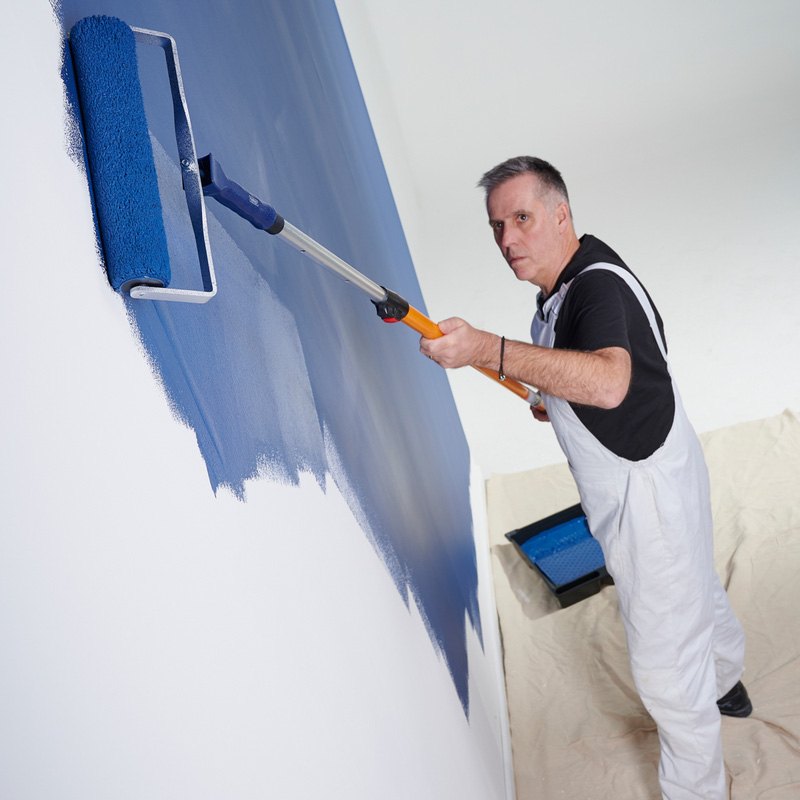 <h1><strong>Matt vs Silk Paint: What You Need to Know Before Painting?</strong></h1>