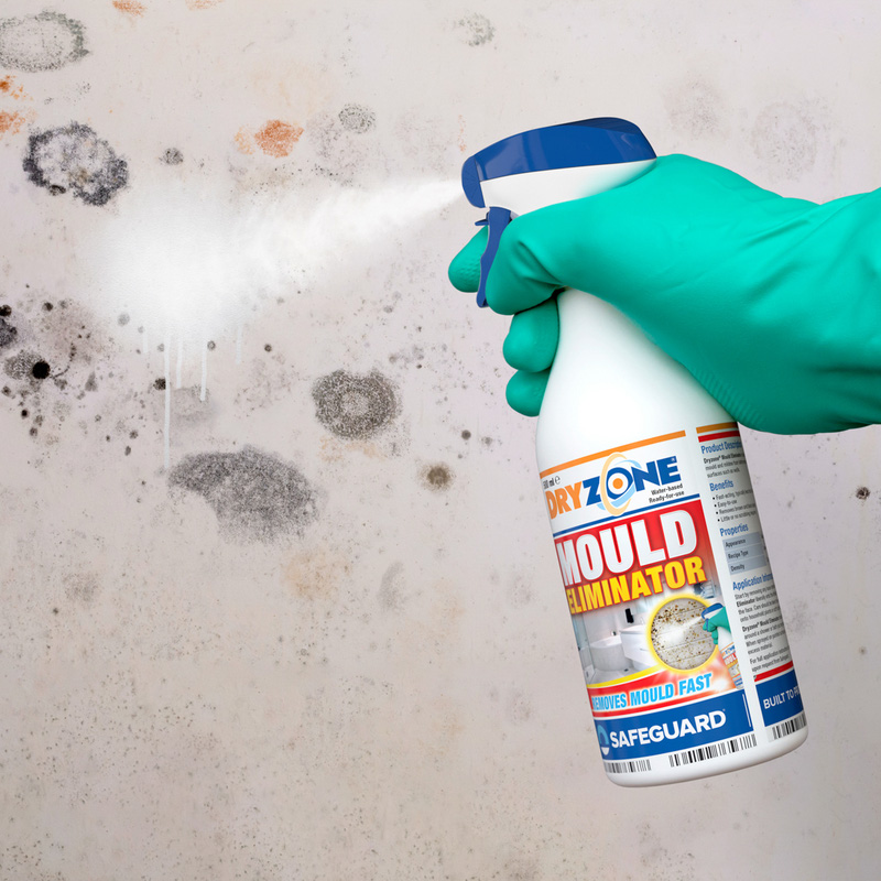 How To Get Rid Of Mould