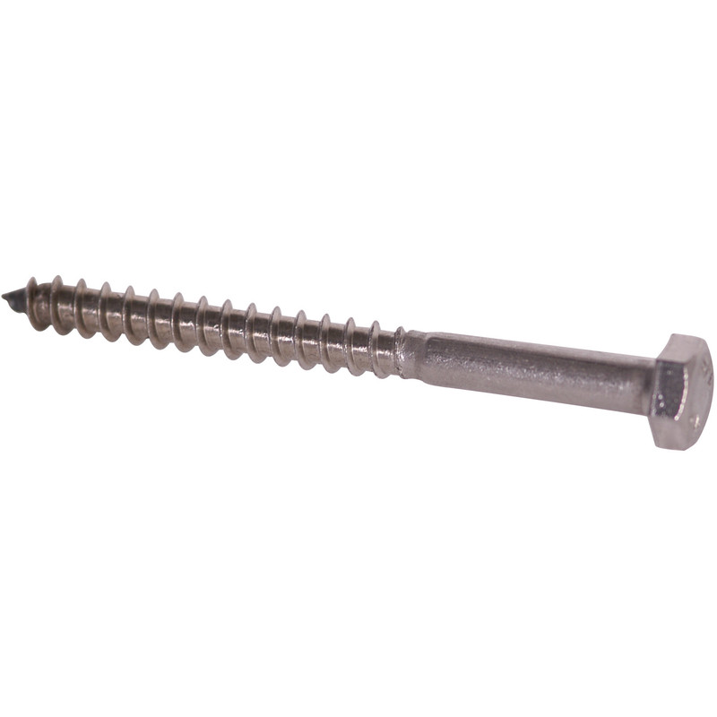 Stainless Steel Coach Screw