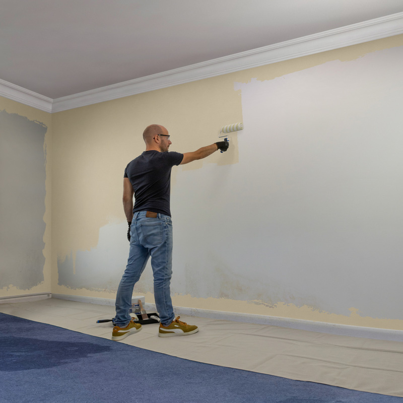 Dryzone AntiMould Emulsion Paint 1L Magnolia Toolstation