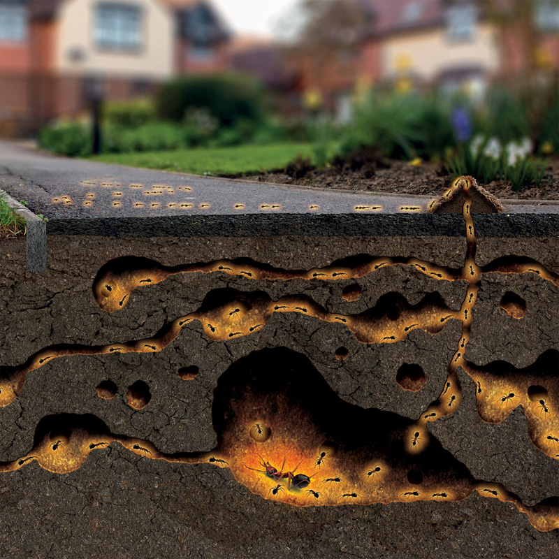 Nope! Ant Bait Station Bundle | Toolstation