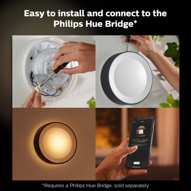Philips Hue Daylo Outdoor Wall Light