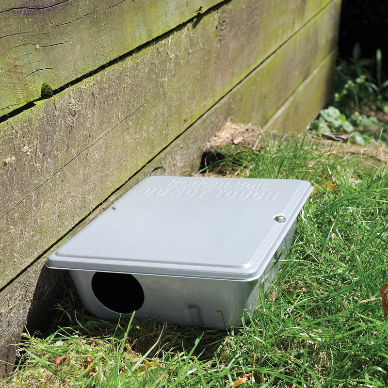 The Big Cheese Strongbox Rat Bait Station Toolstation